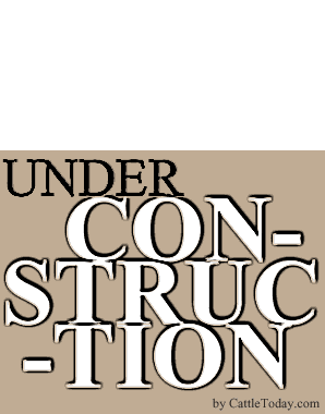 This site is currently being developed.