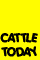 Cattle Today