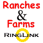 webring,ringlink,cattle,web,ring,livestock,ranch,farm,cow,agriculture