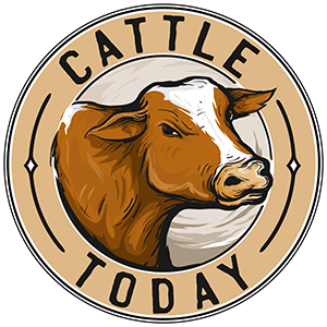 CattleToday.com - Cattle, Cow & Ranching Community